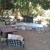 BOLT COFFEE (Shady Business espresso)'s Avatar'