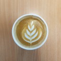 Darwin's