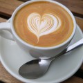 Little Box Coffee Co.