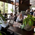 The Truffula Seed Espresso Bar