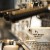 Handlebar Coffee Roasters's Avatar'