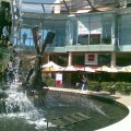 Blu Water Grill