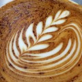 Bean Of A Tree Coffee Co. Bondi