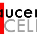 Chaucer Cellars