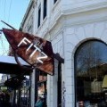The Fitz