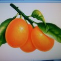 Cumquat Corner Cafe