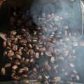 Mug Shots Espresso