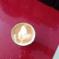 Ocean Bean Cafe