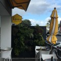 Honey Cafe
