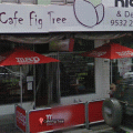 Cafe Fig Tree