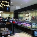 Quattro Formaggi Deli