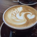 Fuzzy Duck Cafe