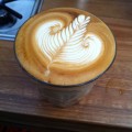 Single Rosetta