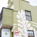 Campos Newtown