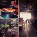 The Birds & The Beans espresso bar
