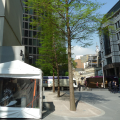 Beany Green (St Mary Axe)