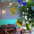 Hummingbird Café