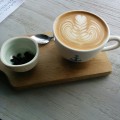 Haven Specialty Coffee