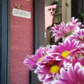 Cafe Organism