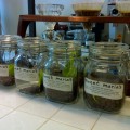 Soloist Coffee Co